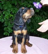 Nach 9 Wochen
