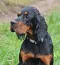 dsc_0048_1.jpg