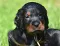 1_dsc_0174.jpg