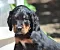 1_dsc_0246_2blaubunt.jpg