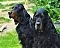 1_dsc_0364_5.jpg