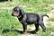 25.04.20_2_005lila.jpg