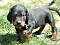 25.04.20_2_007lila.jpg