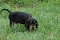3_dsc_0011_800x530.jpg
