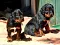 3_dsc_0021.jpg