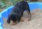 dsc_0010_800x546.jpg