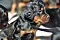 dsc_0033_14grn.jpg