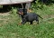 dsc_0034_800x560.jpg