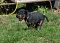 dsc_0035_800x576.jpg