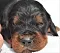 dsc_0046_8rde_lila.jpg
