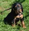 dsc_0050_748x800.jpg