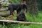 dsc_0067_800x540.jpg