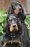 dsc_0109_3.jpg