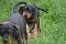 dsc_0110_800x530_2.jpg