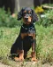 dsc_0113_639x800.jpg