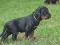 dsc_0159.jpg